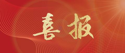 榮耀時(shí)刻 | 王江林董事長再獲“金圓桌獎(jiǎng)”最具戰(zhàn)略眼光獎(jiǎng)！